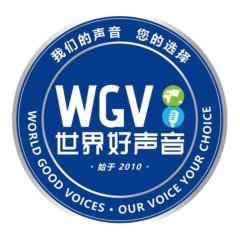 广州金嗓音文化发展有限公司 文化传媒新势力的金嗓音